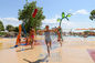 Aqua Playground Splash Structure Stainless-Stahlwasser-Berieselungsanlagen-Meeresschildkröte-Spray